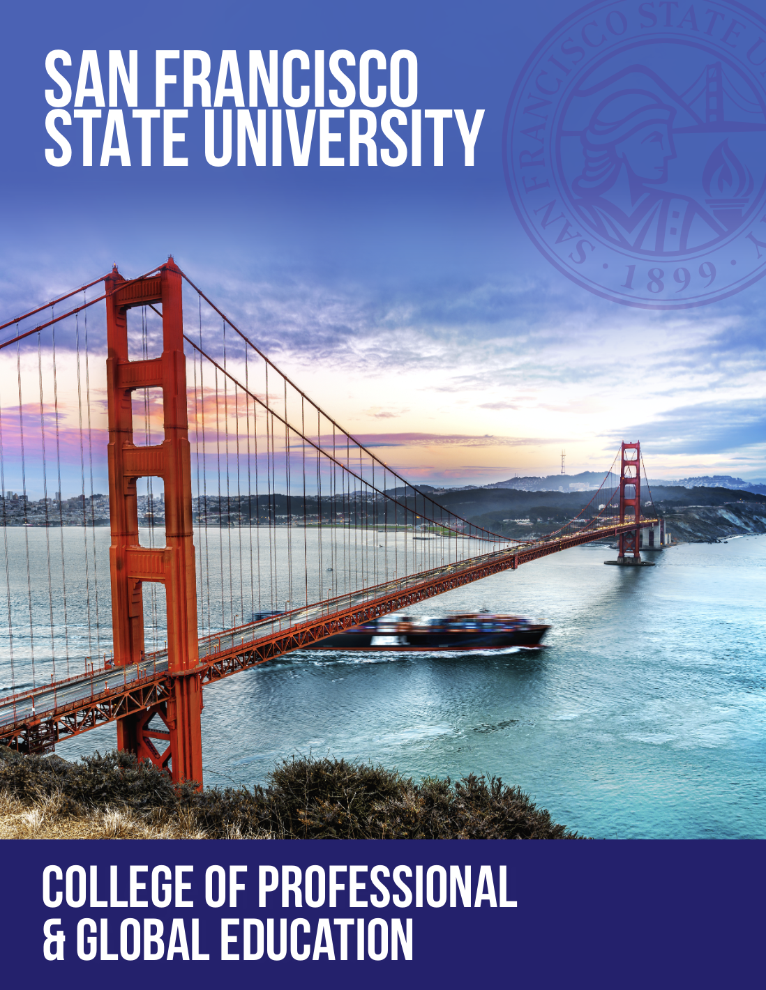 Global Programs Brochure Cover